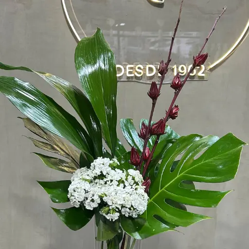 Arreglo de verde kira